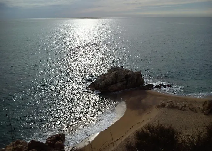 Oliver كاليليا